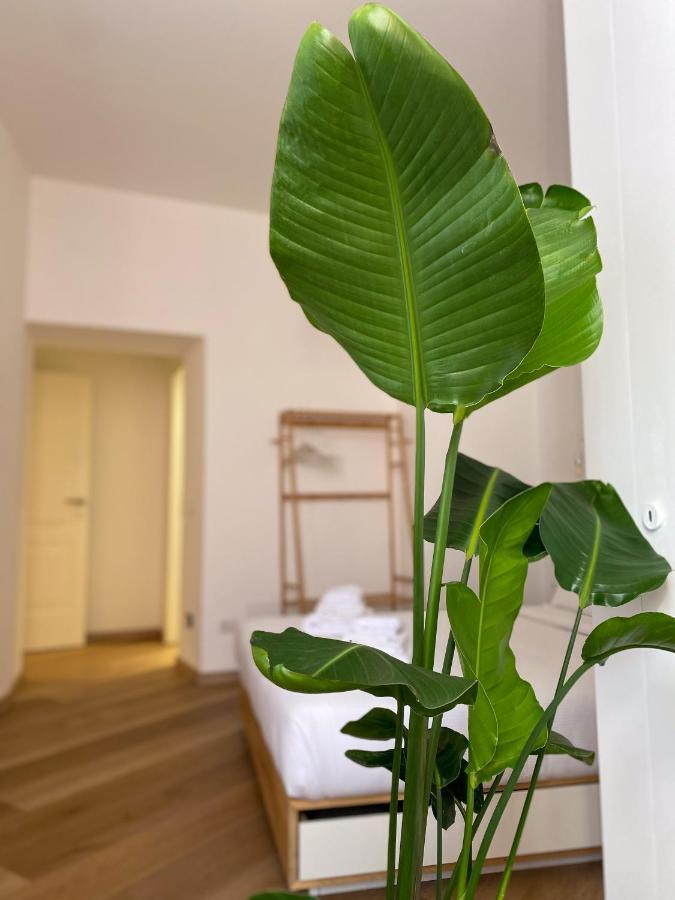 Boho Suites - Rome Colosseum Εξωτερικό φωτογραφία